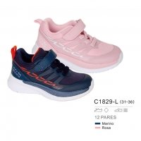 Shoe