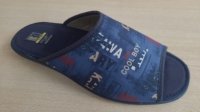 Shoe
