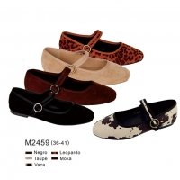 Shoe