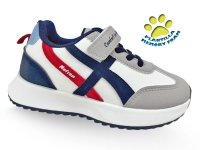 Shoe